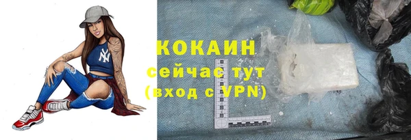 хмурый Алексин