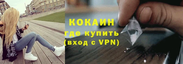 хмурый Алексин