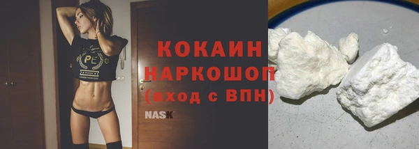 хмурый Алексин