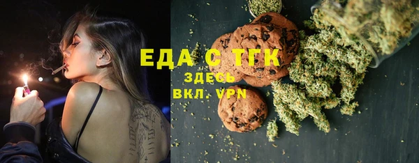 хмурый Алексин