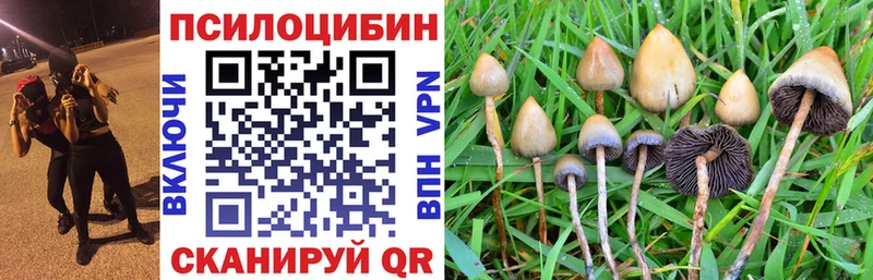 Псилоцибиновые грибы мухоморы  Богучар 